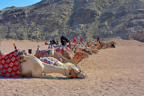 Hurghada: Safari en jeep, paseo en camello y cena con barbacoa