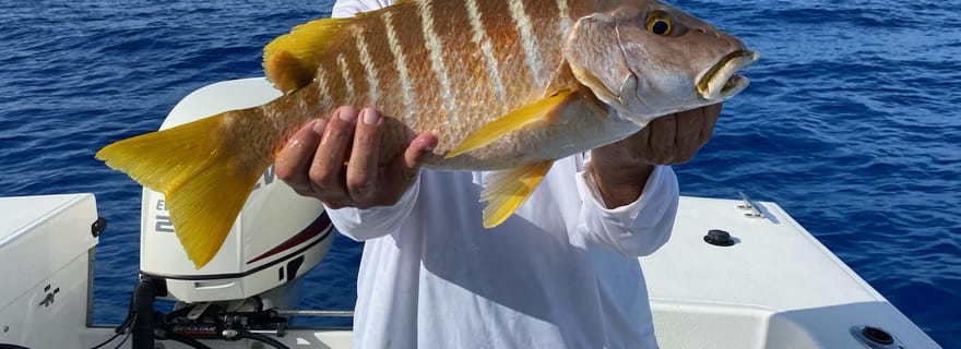 Île de Grand Bahama : excursion de pêche au fond