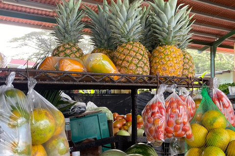 Private Bike Tour Waterfall, Views & Local Life