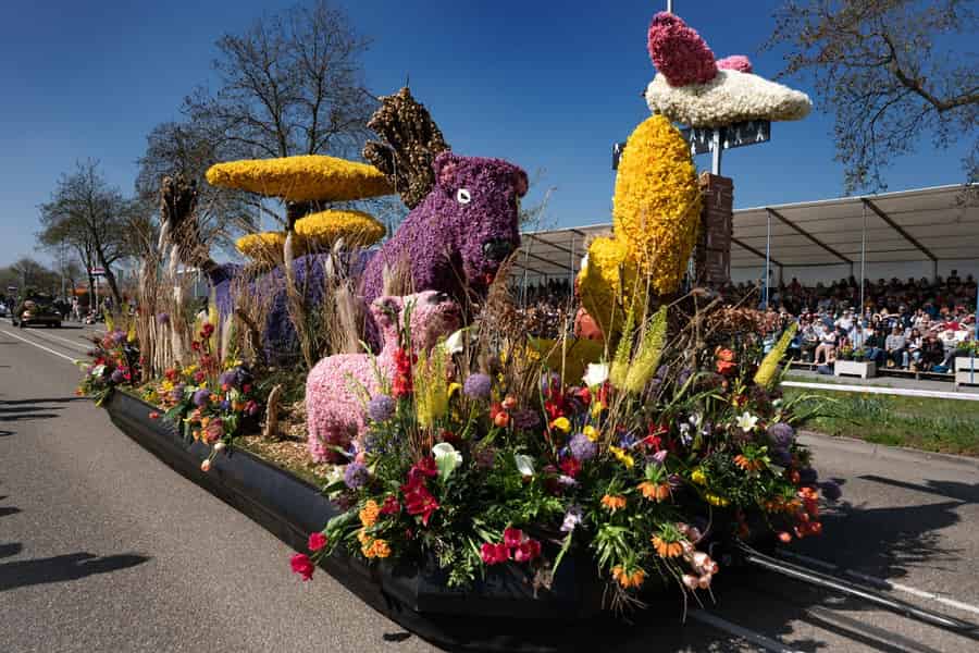 Amsterdam: Blumenparade Tribüne + Keukenhof-Tour. Foto: GetYourGuide