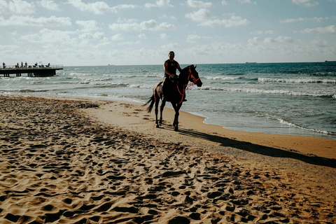 Djerba – Paardrijden naar het eiland van de flamingo&#039;sDjerba - Paardrijden naar het Roze Flamingo-eiland