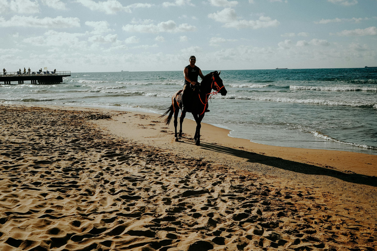 Djerba – Paardrijden naar het eiland van de flamingo&#039;sDjerba - Paardrijden naar het Roze Flamingo-eiland