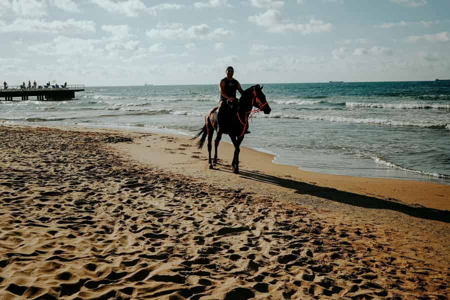 Bradenton: 1,5-stündiger besonderer Strandausflug zu Pferd. Foto: GetYourGuide Bradenton: 1,5-stündiger besonderer Strandausflug zu Pferd. Foto: GetYourGuide