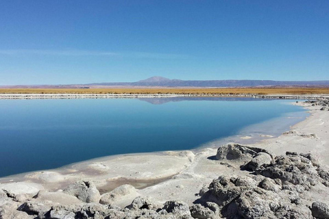 Desierto de Atacama: Refrescante Flotación en Laguna Cejar y Puesta de Sol