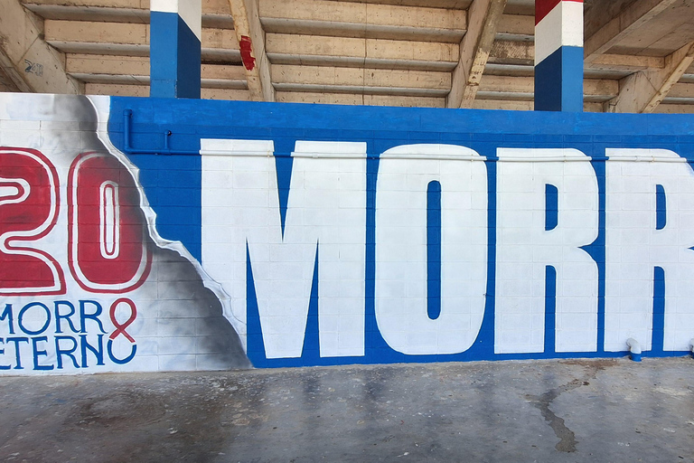 Stadium Tour Montevideo - Visit Stadiums and Museums