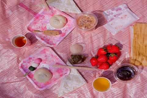 Osaka: Daytime Hanami (Cherry Blossom) and Food Tour