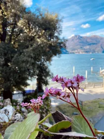 Entdecke den Comer See & Bellagio mit einem Einheimischen