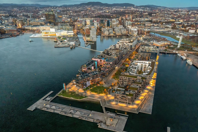Oslo: In the footsteps of Edvard Munch with a Local
