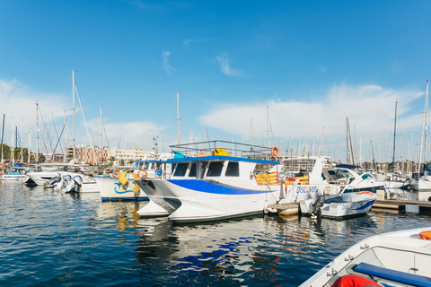 Depuis Lagos : kayak et exploration de grottes en bateau