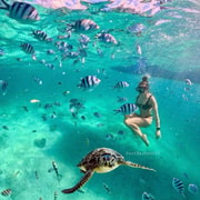 Swim with Turtles & Island Tour Getaway in Port Barton Swim with Turtles & Island Tour Getaway in Port Barton