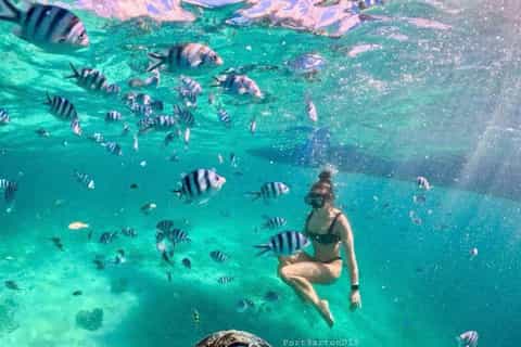 Swim with Turtles & Island Tour Getaway in Port Barton - Image 3