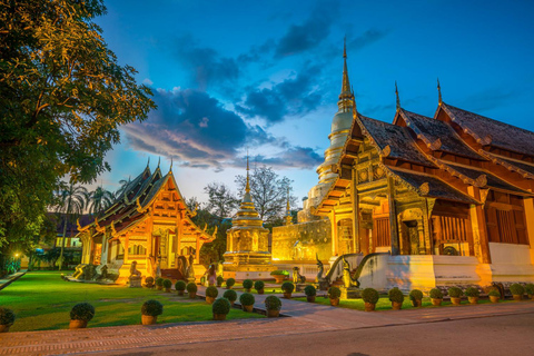 Chiang Mai : Location d&#039;une voiture privée ou d&#039;un minibus avec chauffeurLocation de 4 heures