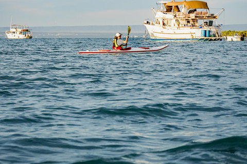 Sea Kayak Tour - Mangrove Safari