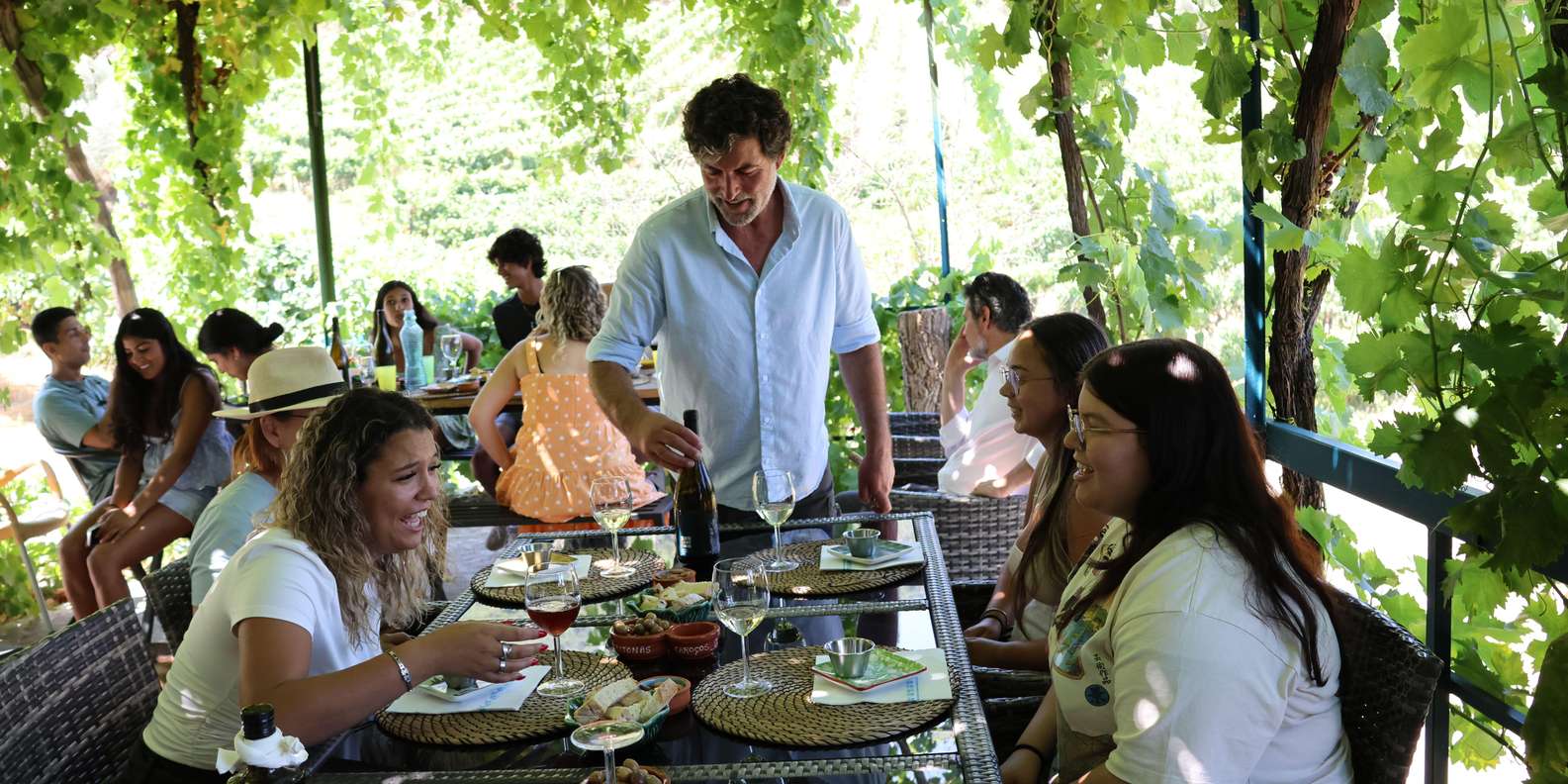 Douro Valley: Indulge in wines, food & an 1h scenic cruise