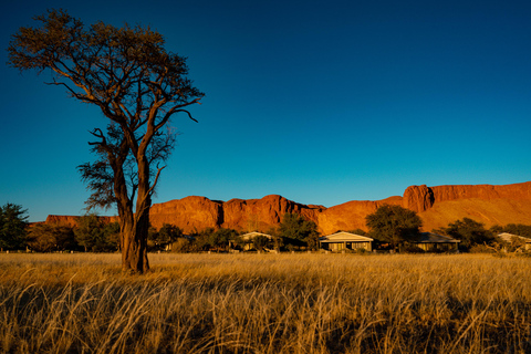 Safari de 7 días por lo mejor del norte de Namibia