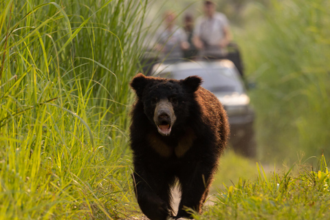 3 Nights 4 Days Chitwan National Park Tours