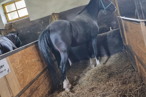 Myths, Horses & Monks – A Transylvanian Storytelling Journey