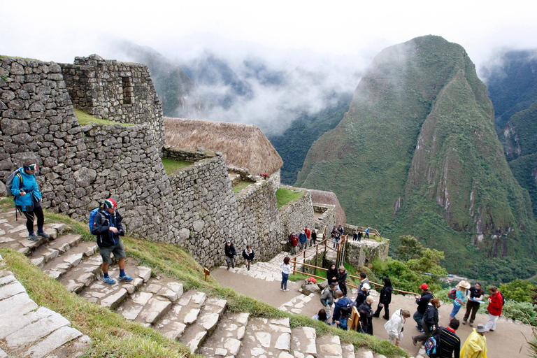 Cusco: Ausflug Machu Picchu 1 Tag mit dem Zug | Private TourGANZTAGSTOUR MACHU PICCHU MIT DEM ZUG |private Tour|