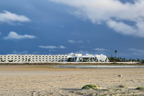 Djerba: Ride to the Pink Flamingo Peninsula by Electric Bike