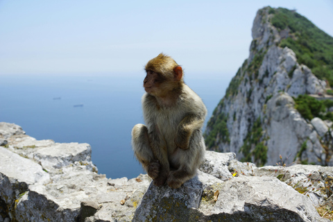 Depuis Séville : Circuit de 2 jours à Gibraltar et Tanger avec hôtel