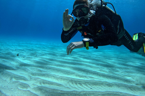 Isla de Pascua: Buceo recreativo-turístico personalizado