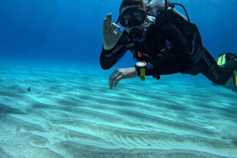 Isla de Pascua: Buceo recreativo-turístico personalizado