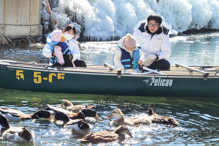 Busan: Winter Healing Park and (Gyeongju/Daegu) One Day Tour Healing Park + GYEONGJU Winter: Meet at KTX Busan Station