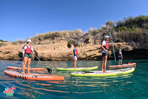 From Nerja: Guided Paddle Surf Cliffs and Maro Waterfall