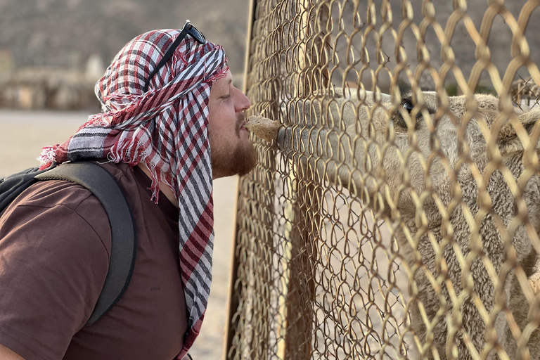 Hurghada: Safari nel deserto in quad con giro in cammello e trasferimentoTour privato di 3 ore in quad con trasferimento privato