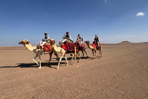 Hurghada: Camel Ride & horse ride and Off-Road Jeep Tour pickup from hotels inside hurghada