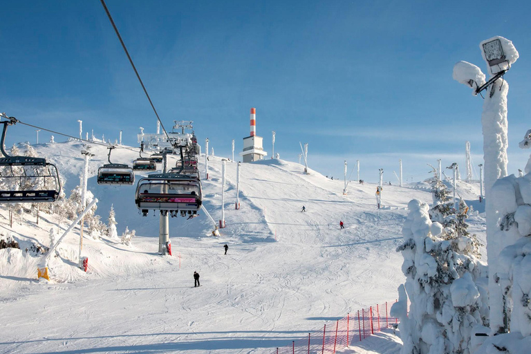 Rovaniemi: Ruka Coaster & Winter Adventure Day Trip ⭐ Ruka Premium | 10h | Full Winter Adventure