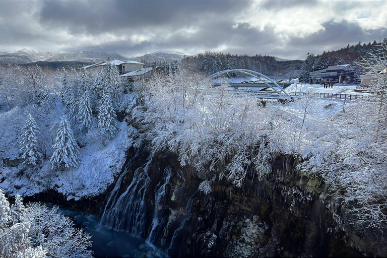 Asahikawa,Biei and Furano Wonderland day Tour in small group Itinerary C: Fairy Terrace Illumination Exclusive Tour