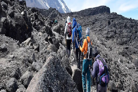 TREKKING DI 3 GIORNI SUL MIGLIOR KILIMANJARO: OFFERTA PERCORSO MACHAME