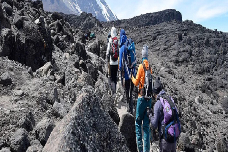 3-DAGARS BÄSTA KILIMANJARO-TREKKING: ERBJUDANDE MACHAME-RUTTEN