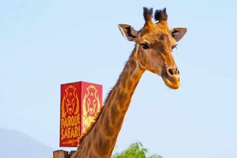 Depuis Santiago : Safari Park, une expérience sauvagePoint de rencontre : Encomenderos 260, Las Condes