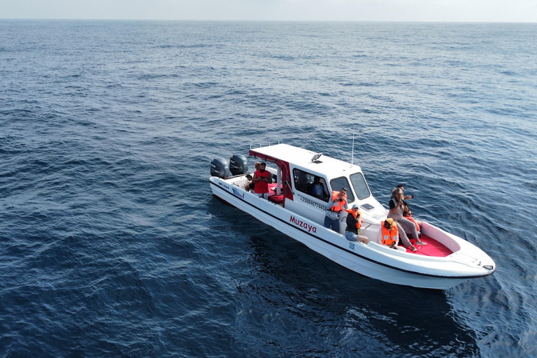 Whale Watching Maputo
