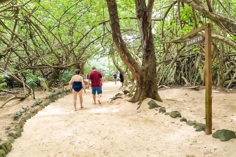 Oahu Aventura en la Isla del Círculo de la Playa Secreta