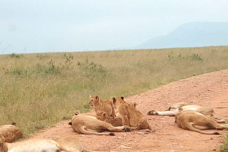 Lake Nakuru National Park Day Trip From Nairobi Lake Nakuru National Park From Nairobi