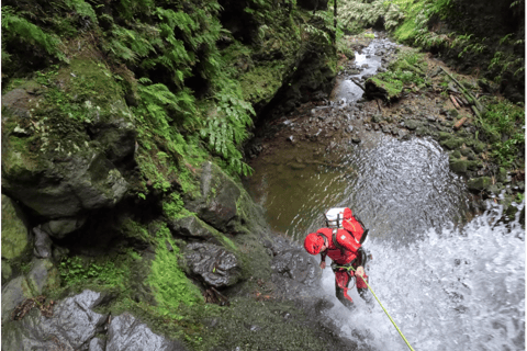 Ribeira dos Caldeirões: Guided Canyoning Tour with Gear