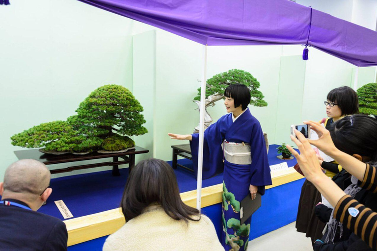 The 44th Japan Bonsai Taikan Exhibition Admission Ticket