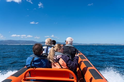 Gibraltar - Ultimate Rib Boat Experience
