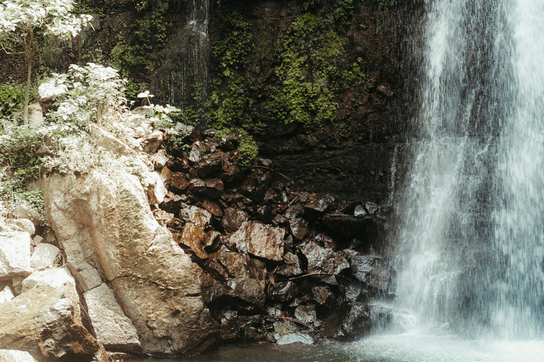 Arusha Wasserfall, Dorfspaziergang &amp;/oder Kaffee TourDorfspaziergang &amp;Wasserfall