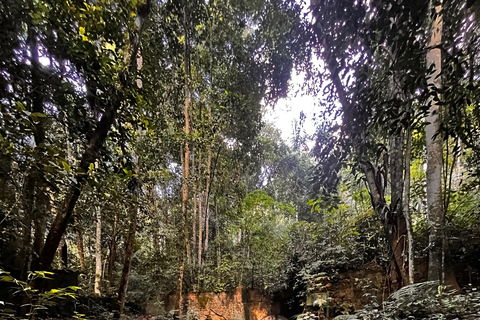 Rio de Janeiro: Christ the Redeemer Forest Hike