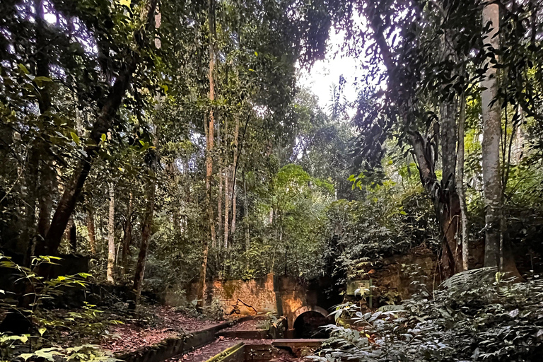 Rio de Janeiro: Christ the Redeemer Forest Hike
