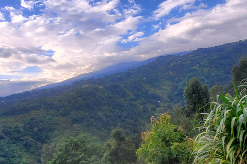 Wonderful Materuni waterfalls and Chemka hotspring Day trip