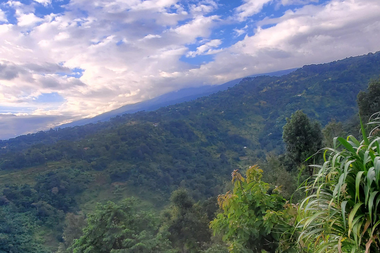 Wonderful Materuni waterfalls and Chemka hotspring Day trip