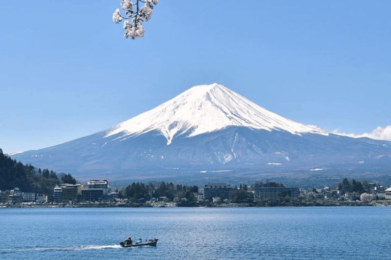 From Tokyo: Mount Fuji Full Day Customizable Private Tour