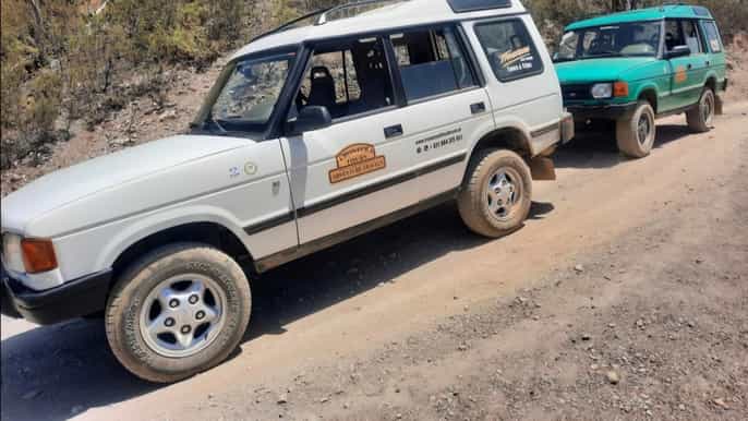 Algarve: 4x4 Safari Tour - from Coastal Wonders to Rural Treasures