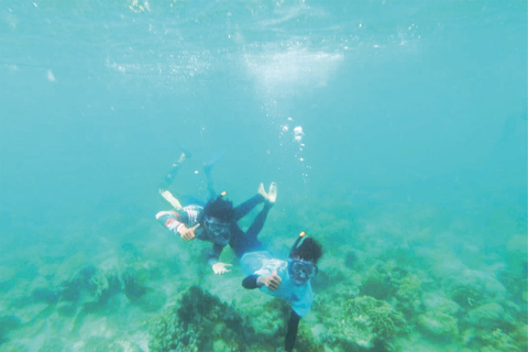 De Singapura: Excursão particular de um dia para mergulhar nas Ilhas Batam