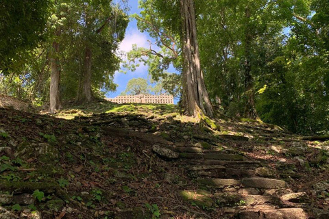 Sites archéologiques de Bonampak et de Yaxchilan et jungle